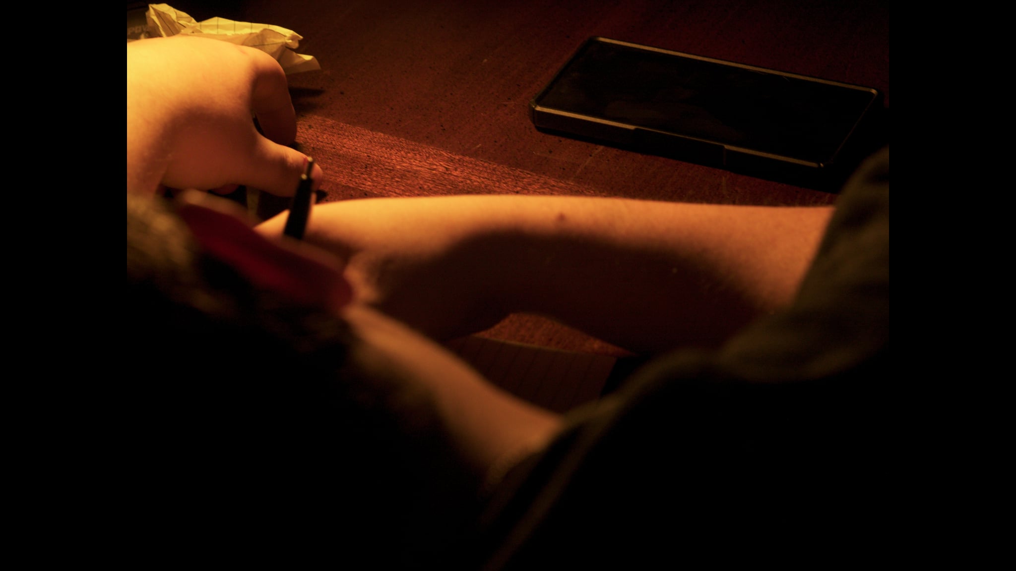 A close-up of a notebook and pen from Echoes of a Blank Page.